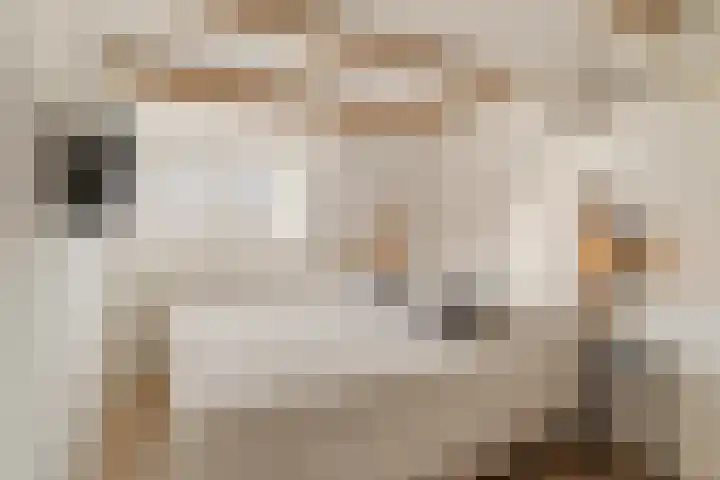 Witte de Withstraat 8 Noordwijk thumbnail 20