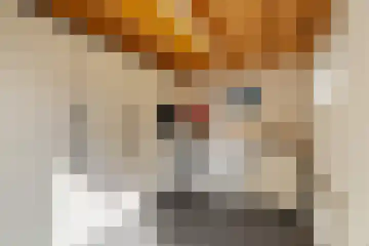 Witte de Withstraat 8 Noordwijk thumbnail 30