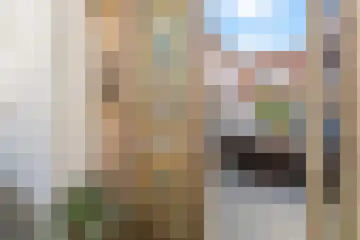 Witte de Withstraat 8 Noordwijk thumbnail 31