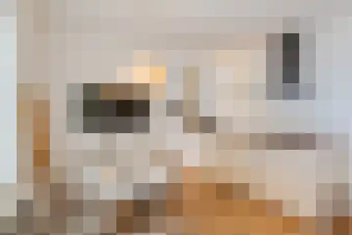 Witte de Withstraat 8 Noordwijk thumbnail 35