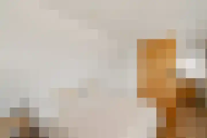 Witte de Withstraat 8 Noordwijk thumbnail 38
