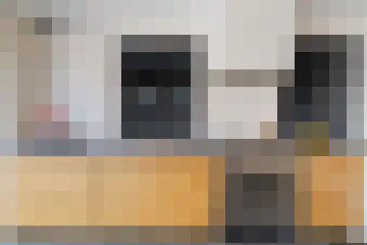 Witte de Withstraat 8 Noordwijk thumbnail 8