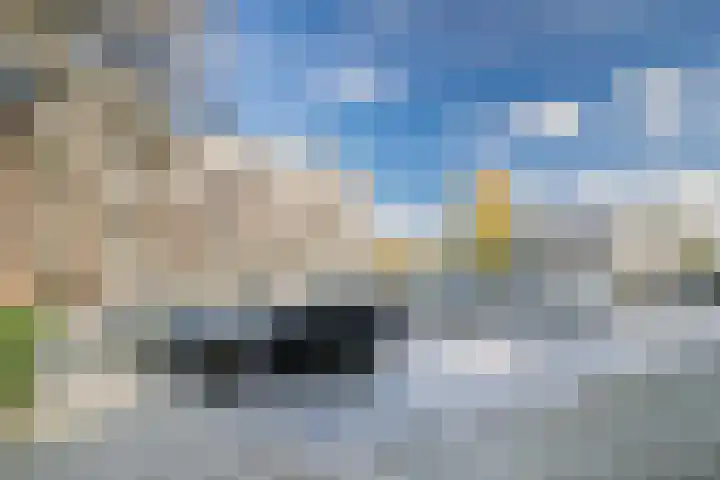 Witte de Withstraat 81 Terneuzen thumbnail 19