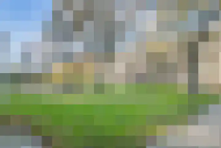 Witte de Withstraat 81 Terneuzen thumbnail 20