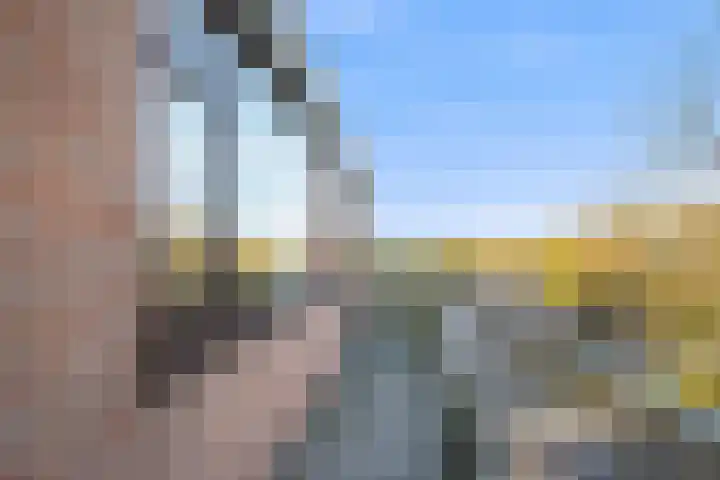 Witte de Withstraat 81 Terneuzen thumbnail 4