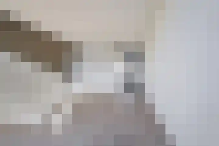 Witte de Withstraat 81 Terneuzen thumbnail 8