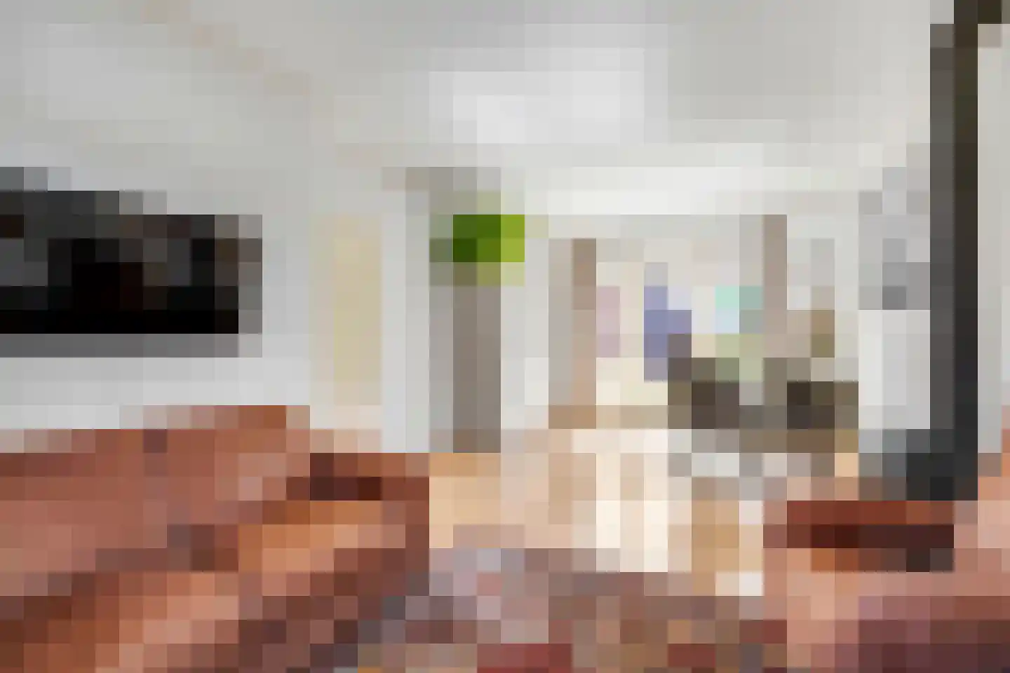 Witte de Withstraat 9 Brielle thumbnail 12