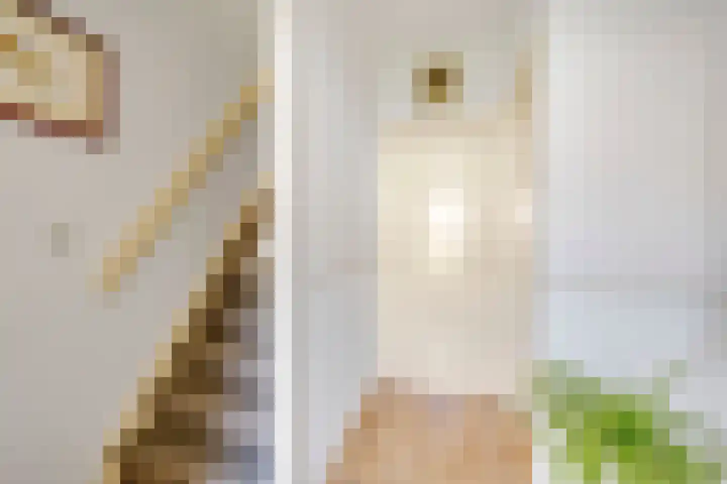 Witte de Withstraat 9 Brielle thumbnail 16