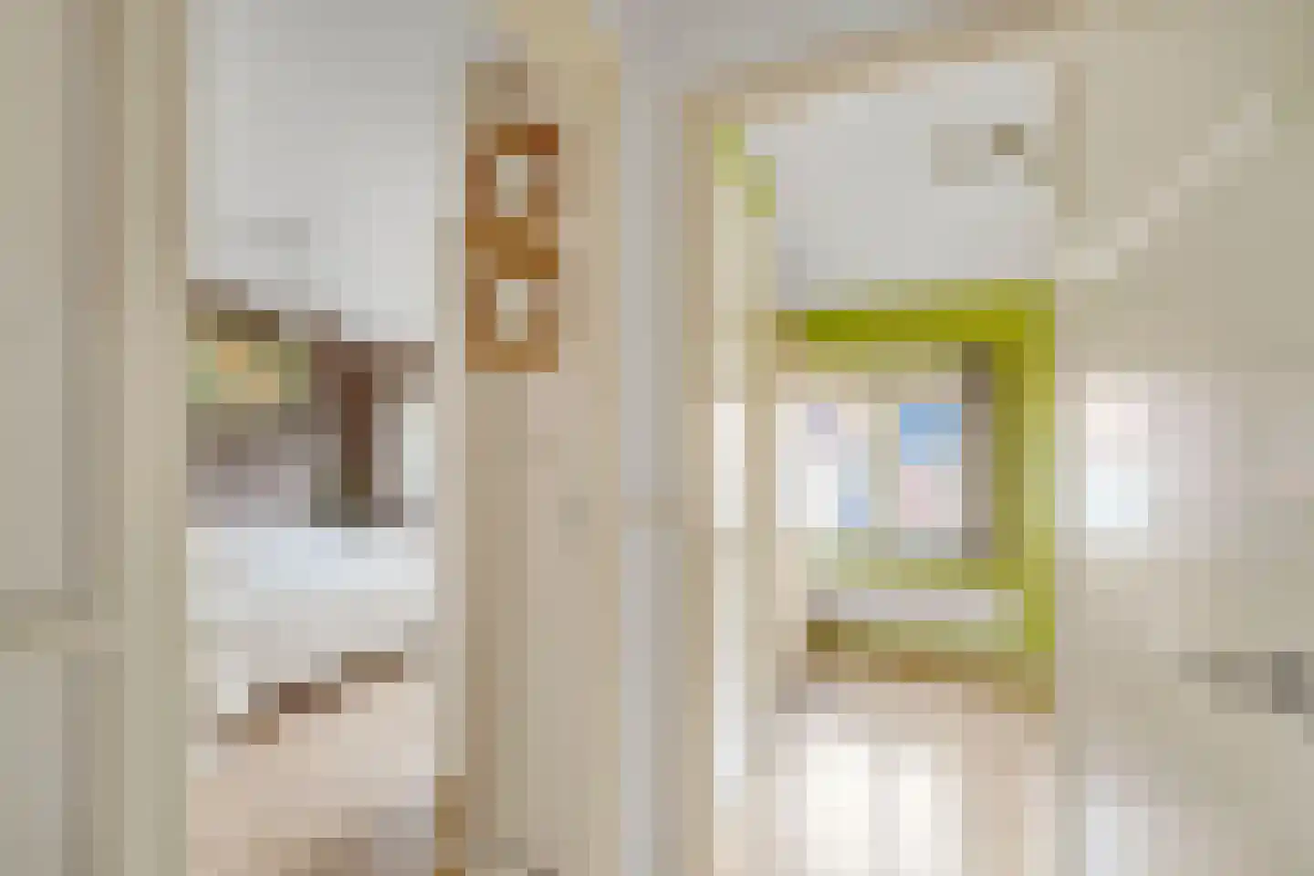 Witte de Withstraat 9 Brielle thumbnail 17