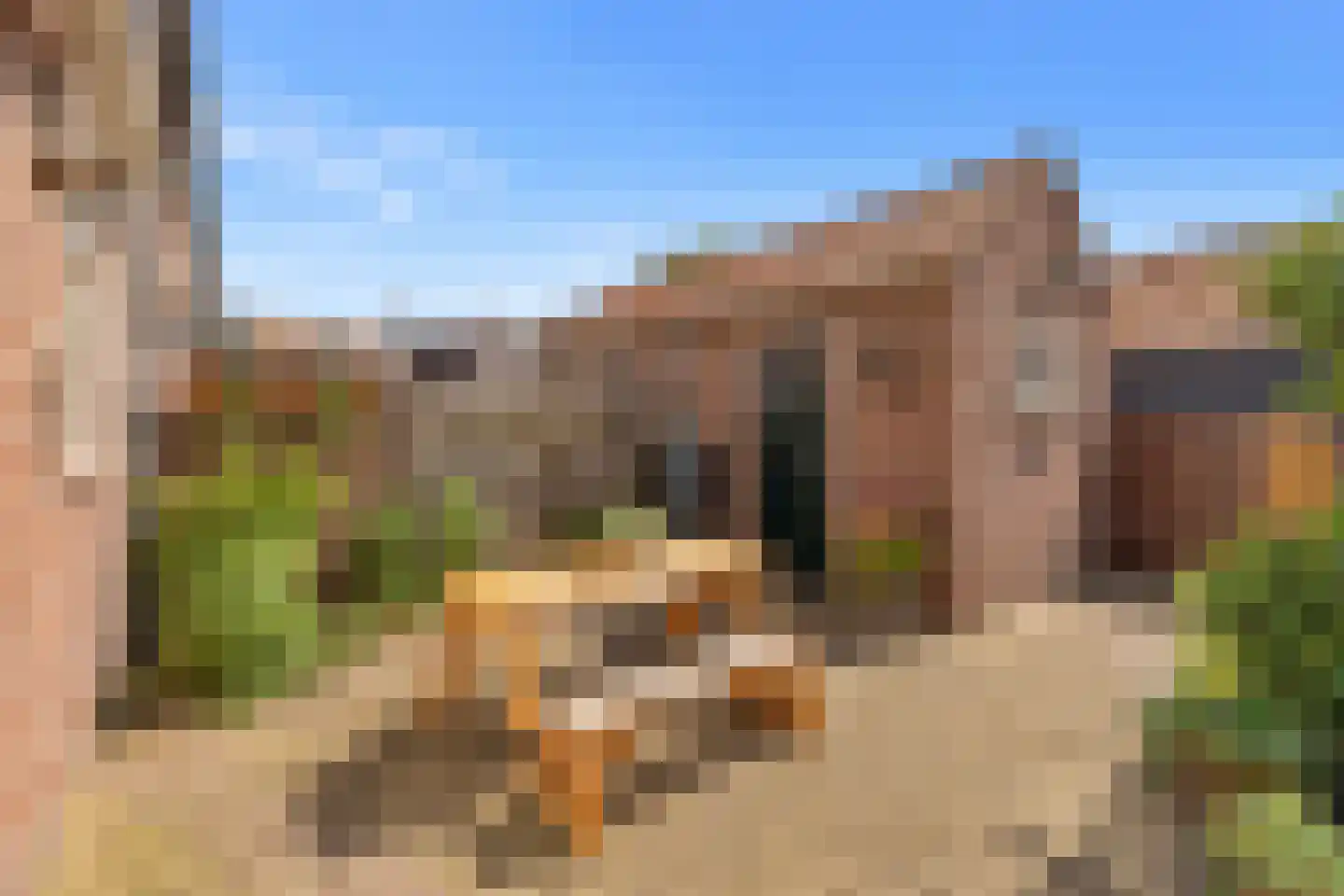 Witte de Withstraat 9 Brielle thumbnail 25