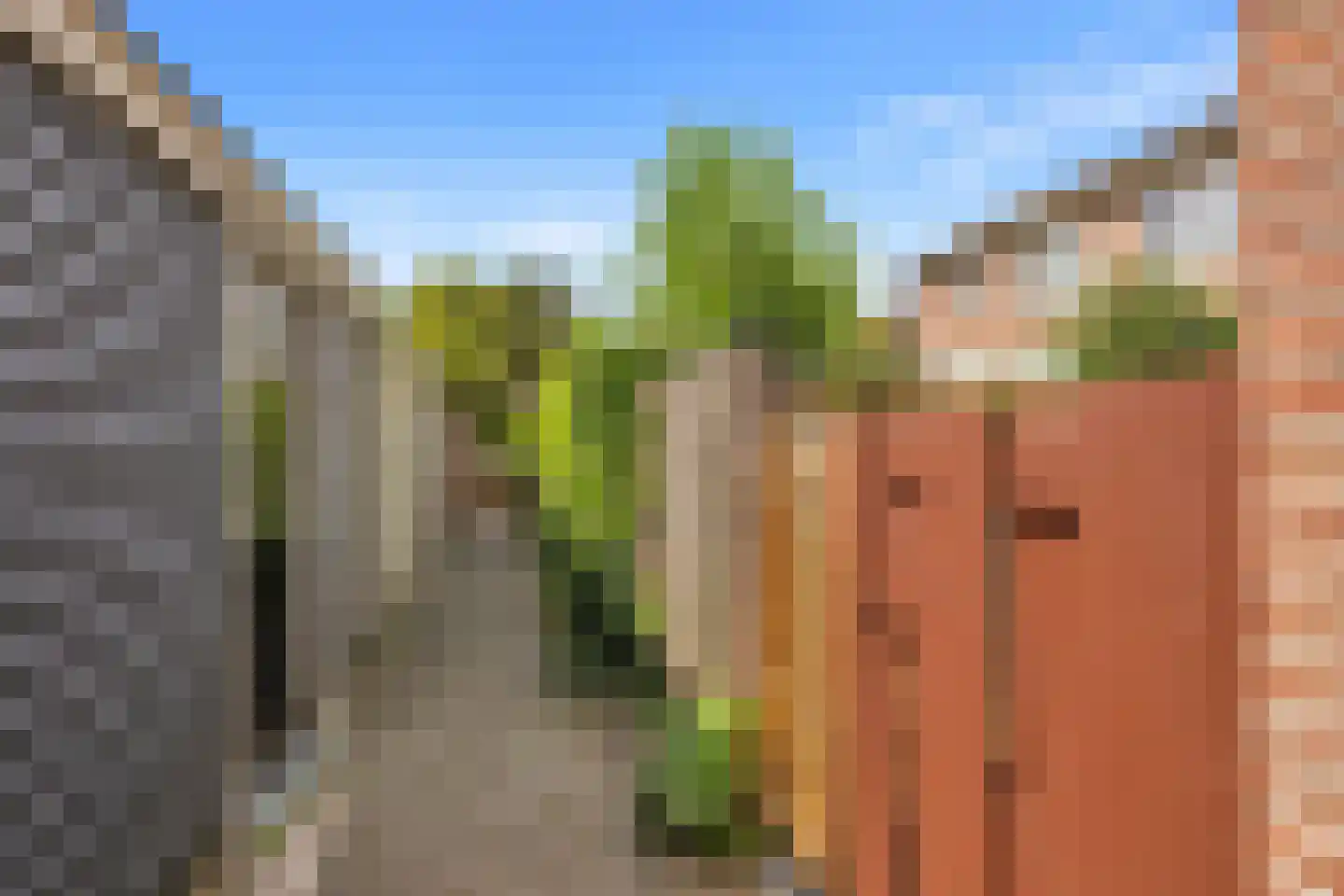 Witte de Withstraat 9 Brielle thumbnail 29