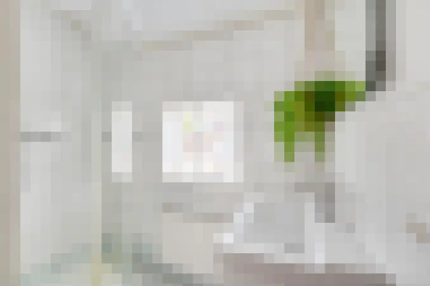 Witte de Withstraat 9 Brielle thumbnail 4