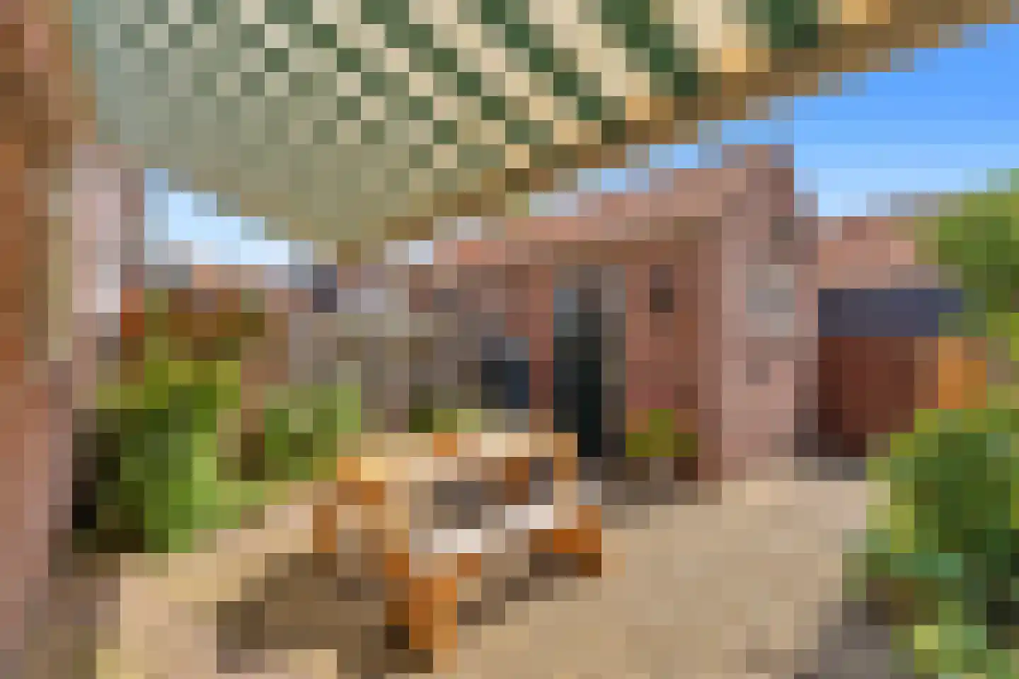 Witte de Withstraat 9 Brielle thumbnail 5