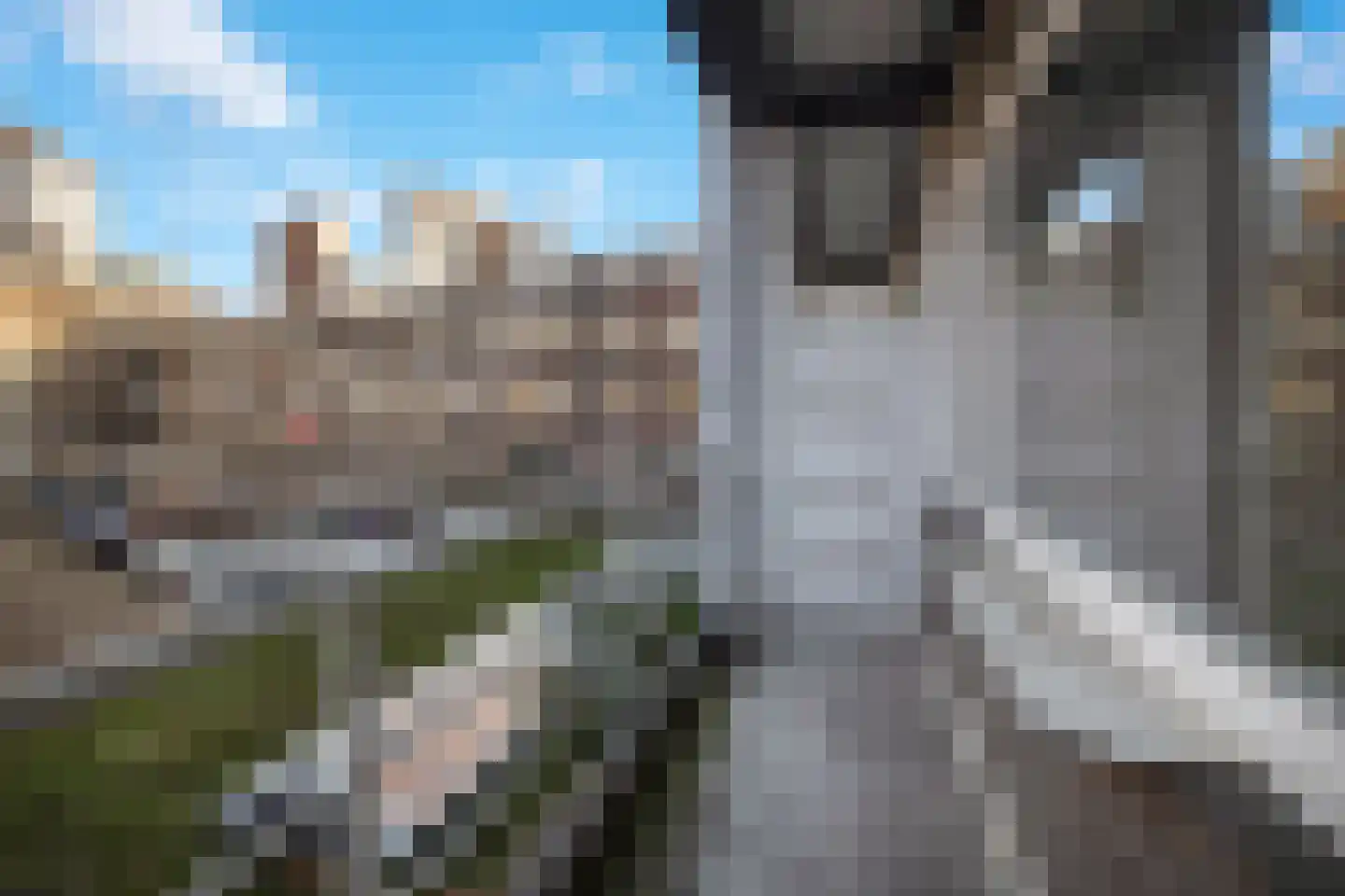 Witte de Withstraat 9 D Rotterdam thumbnail 17