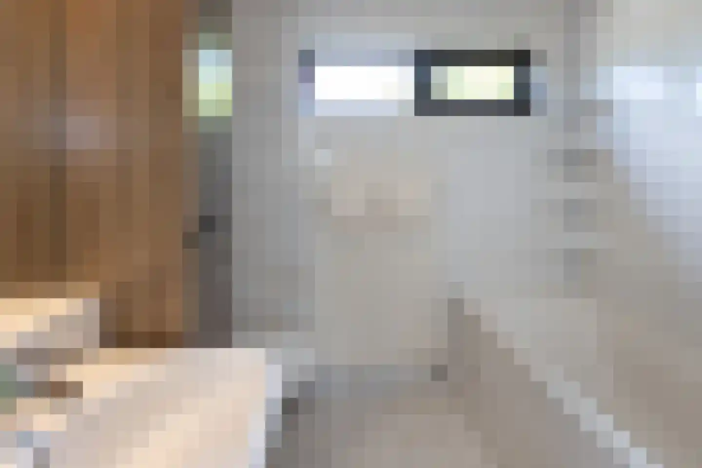 Witte de Withstraat 9 Groenlo thumbnail 23