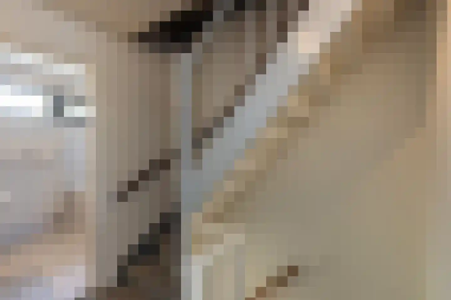 Witte de Withstraat 9 Groenlo thumbnail 26