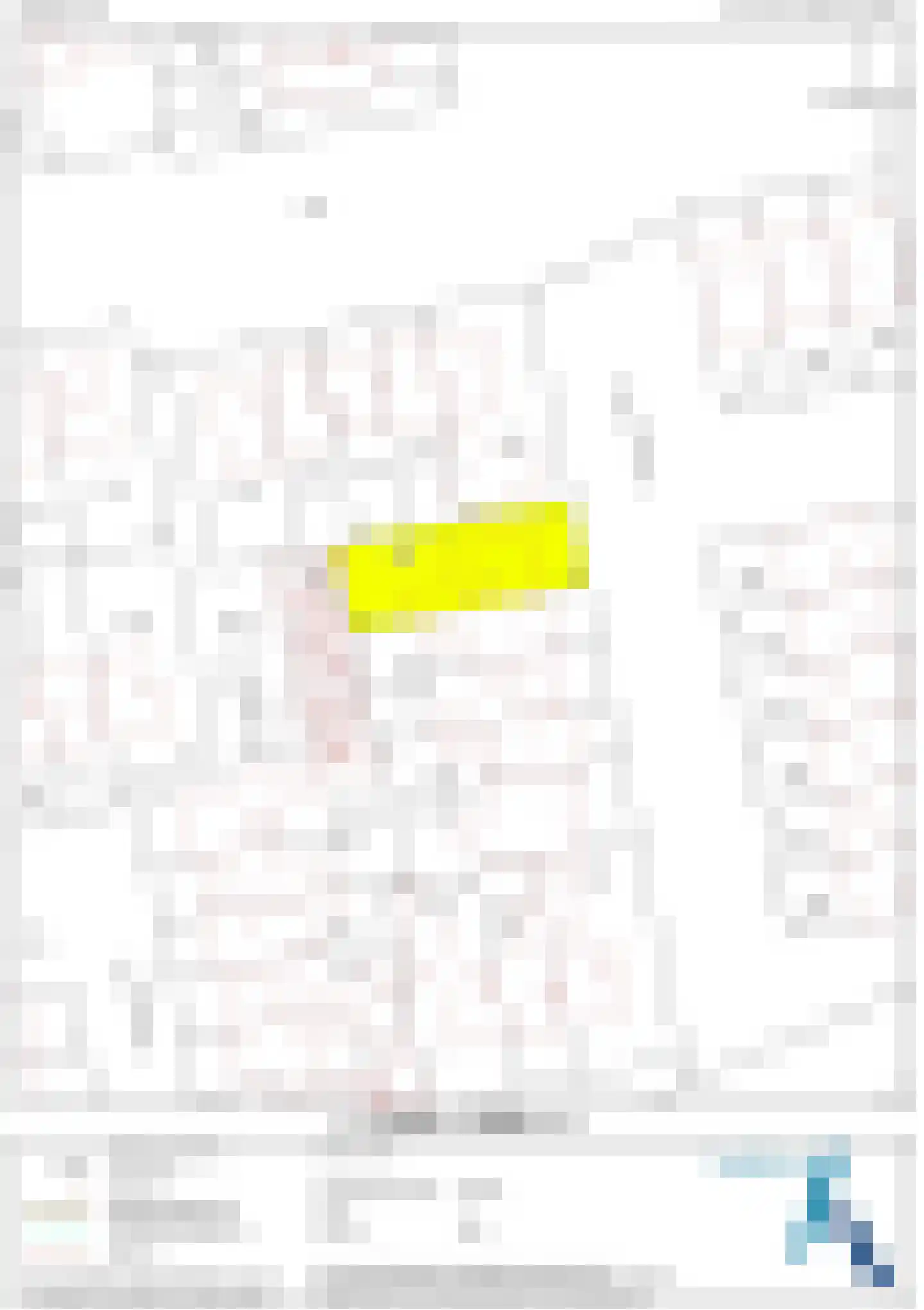 Witte de Withstraat 9 Groenlo thumbnail 47