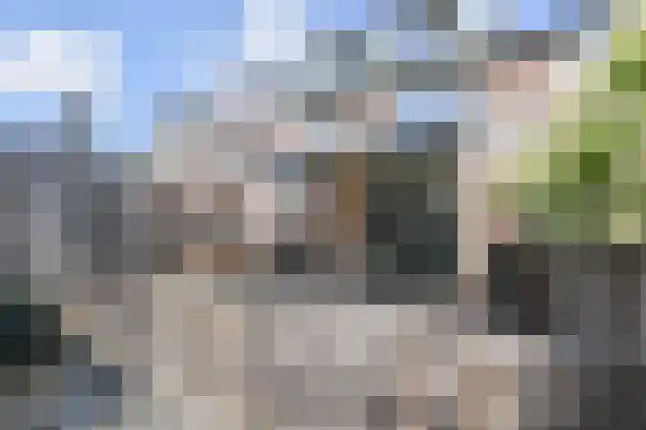 Witte de Withstraat 9 Leidschendam thumbnail 25