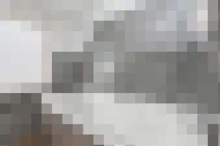 Witte de Withstraat 9 Leidschendam thumbnail 34