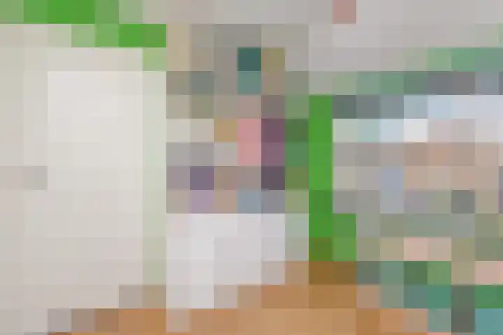Witte de Withstraat 9 Leidschendam thumbnail 38