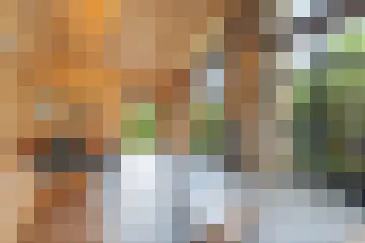 Witte Dennenhof 8 Almere thumbnail 15
