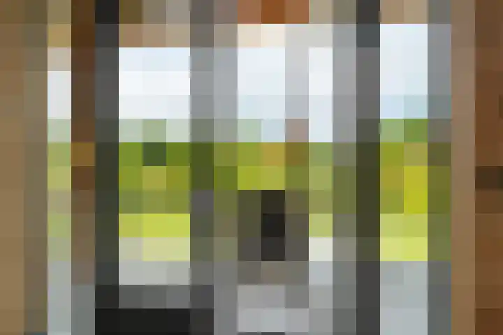 Witte Dennenhof 8 Almere thumbnail 21