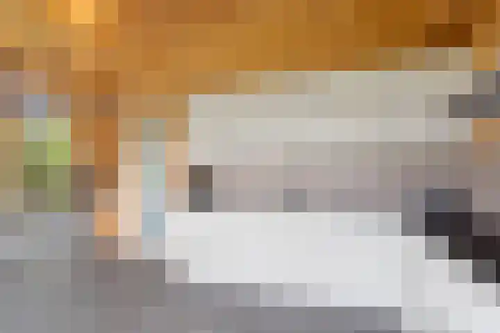 Witte Dennenhof 8 Almere thumbnail 25