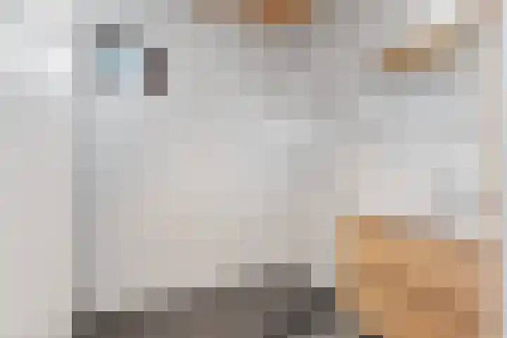 Witte Dennenhof 8 Almere thumbnail 35