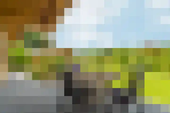 Witte Dennenhof 8 Almere thumbnail 39
