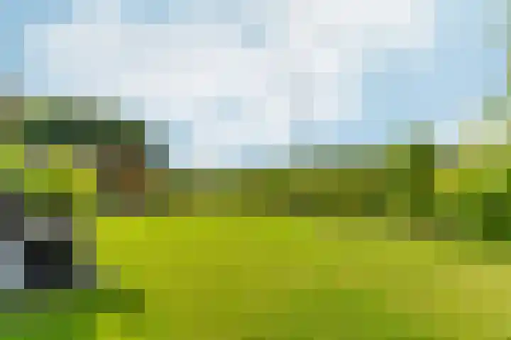 Witte Dennenhof 8 Almere thumbnail 40