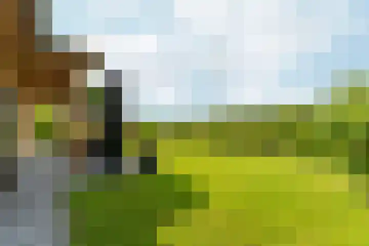 Witte Dennenhof 8 Almere thumbnail 41