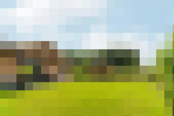 Witte Dennenhof 8 Almere thumbnail 42