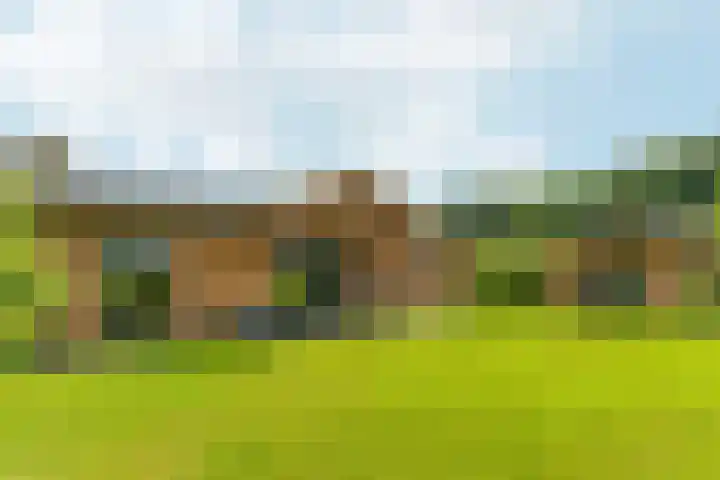 Witte Dennenhof 8 Almere thumbnail 43