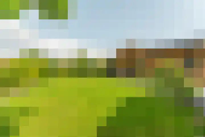 Witte Dennenhof 8 Almere thumbnail 44