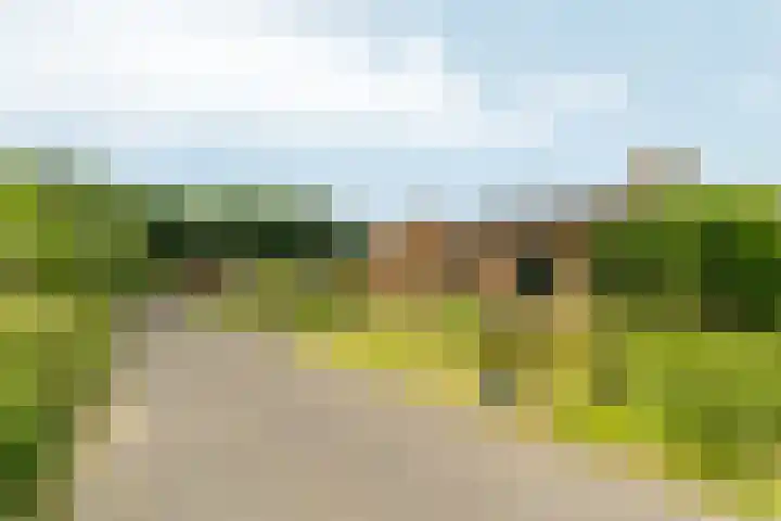 Witte Dennenhof 8 Almere thumbnail 47