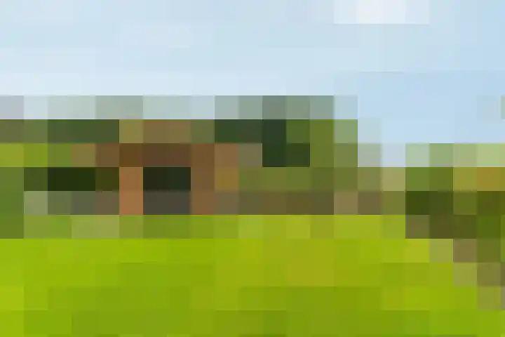 Witte Dennenhof 8 Almere thumbnail 48