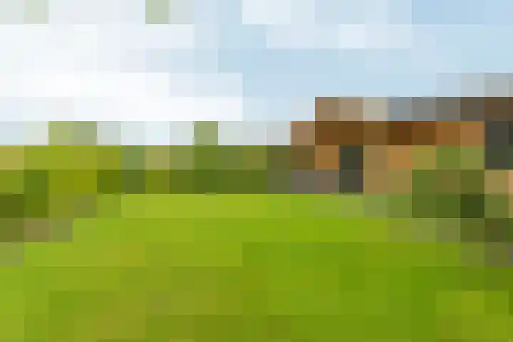 Witte Dennenhof 8 Almere thumbnail 49