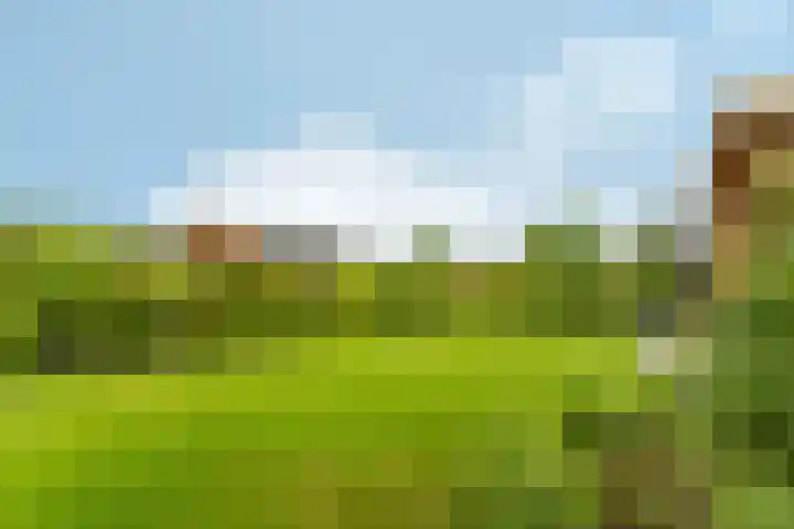 Witte Dennenhof 8 Almere thumbnail 51