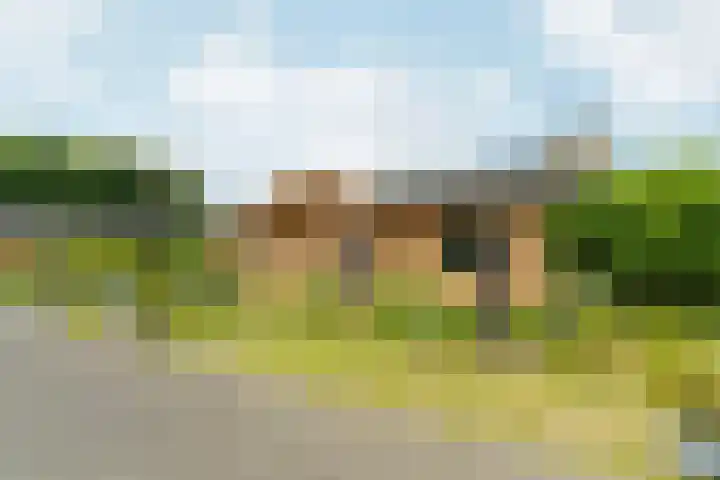 Witte Dennenhof 8 Almere thumbnail 52