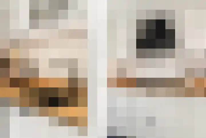 Witte Duifstraat 17 Krommenie thumbnail 10