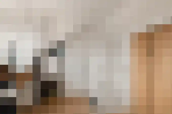 Witte Duifstraat 17 Krommenie thumbnail 23