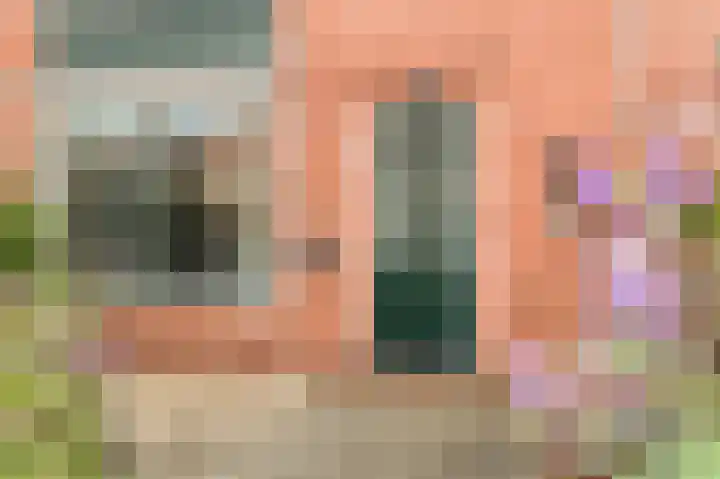 Witte Duifstraat 17 Krommenie thumbnail 25