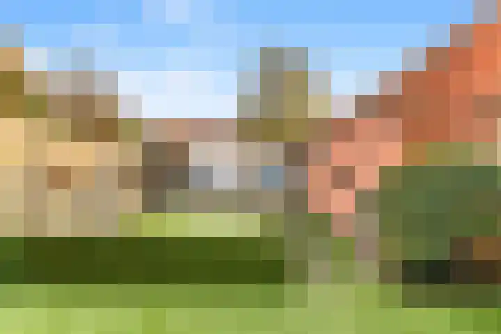 Witte Duifstraat 17 Krommenie thumbnail 26