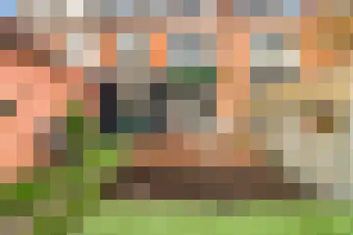 Witte Duifstraat 17 Krommenie thumbnail 28