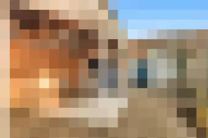 Witte Duifstraat 17 Krommenie thumbnail 30