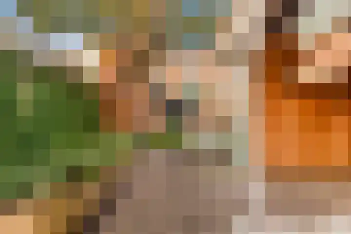 Witte Duifstraat 17 Krommenie thumbnail 31
