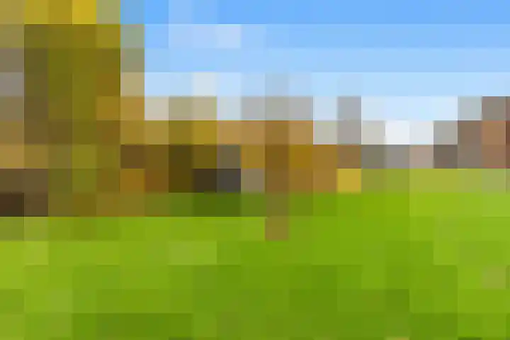 Witte Duifstraat 17 Krommenie thumbnail 33
