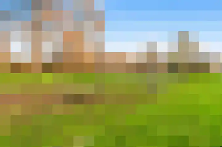 Witte Duifstraat 17 Krommenie thumbnail 34