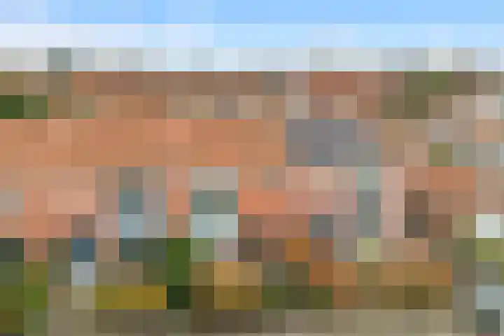 Witte Duifstraat 17 Krommenie thumbnail 36
