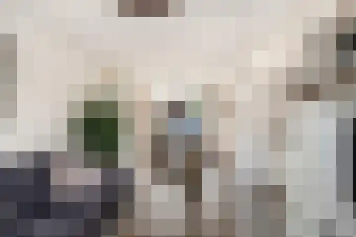 Witte Duifstraat 17 Krommenie thumbnail 4